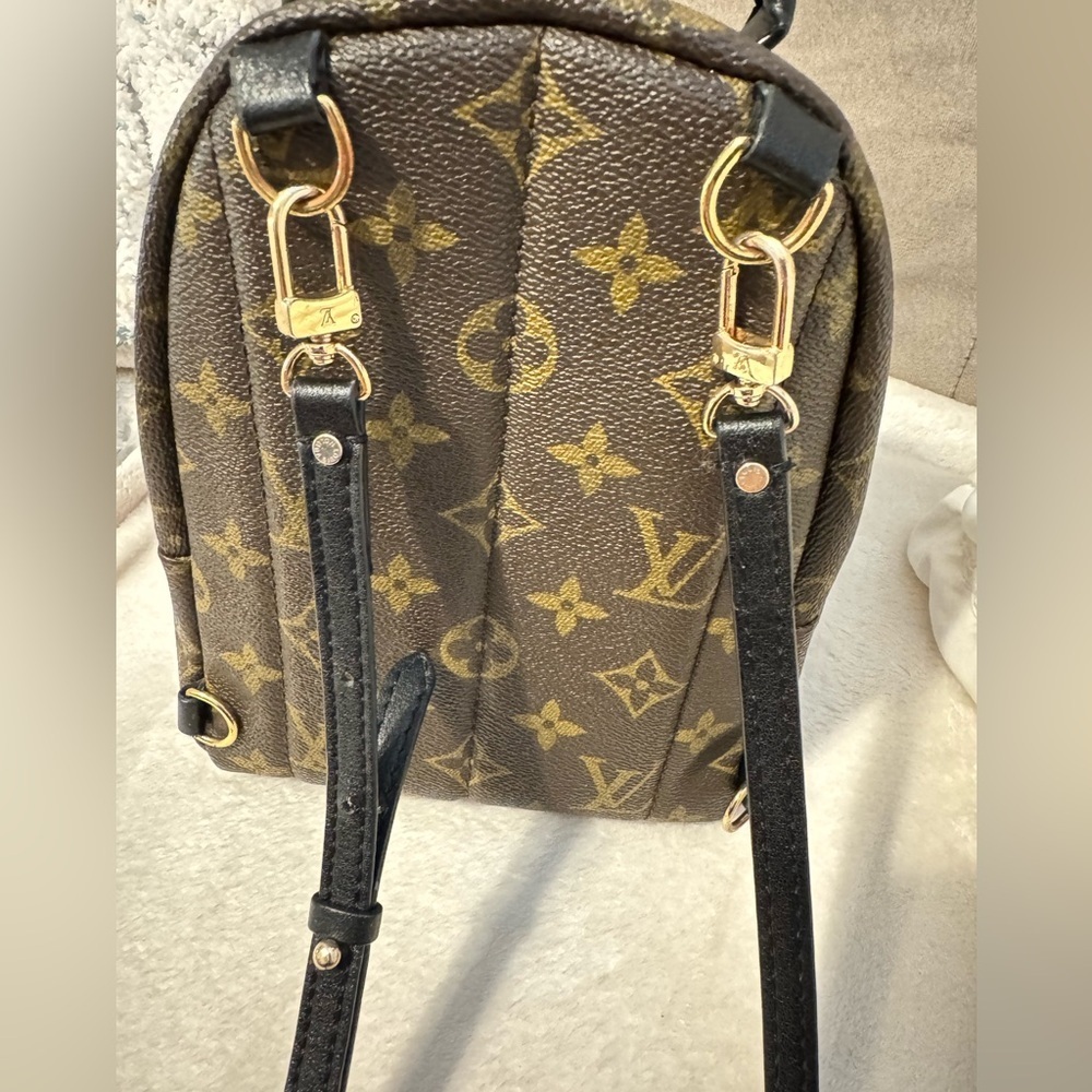 Louis Vuitton Palm Springs Mini backpack - Picture 5 of 6